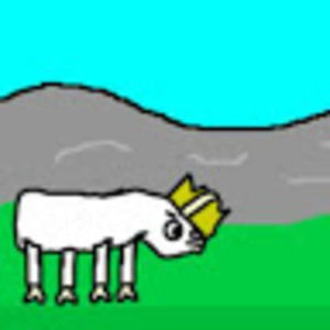 Meet your Posher, Cole